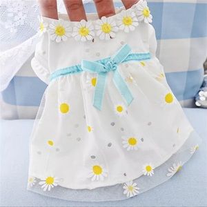 Summer dress for dogs